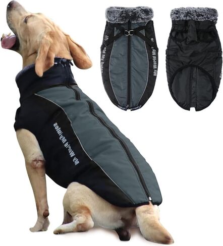 معاطف للكلاب الصغيرة مقاومة للماء للشتاء - سترة دافئة للكلاب مع حزام وطوق من الفرو. ملابس وإكسسوارات ملابس الكلاب العاكسة (أحمر، XL) in Kuwait