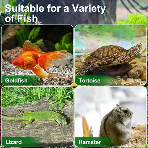 4 قطع من خزان السلاحف لحوض السمك والسلاحف والزواحف البلاستيكية مع غطاء يمنع السلحفاة من التسلق والهروب من سييو in Kuwait