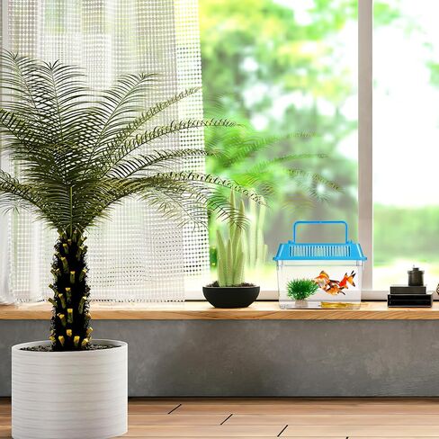 4 قطع من خزان السلاحف لحوض السمك والسلاحف والزواحف البلاستيكية مع غطاء يمنع السلحفاة من التسلق والهروب من سييو in Kuwait