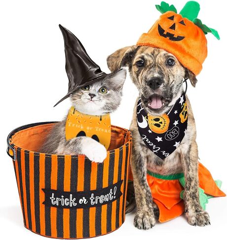 8 Pieces Halloween Dog Bandanas Pumpkin Bat Pet Scarf Dog Triangle Dog Scarf Adjustable Dog Bib Dog Scarf for Halloween Holiday Costume (Spider Style) in Saudi Arabia