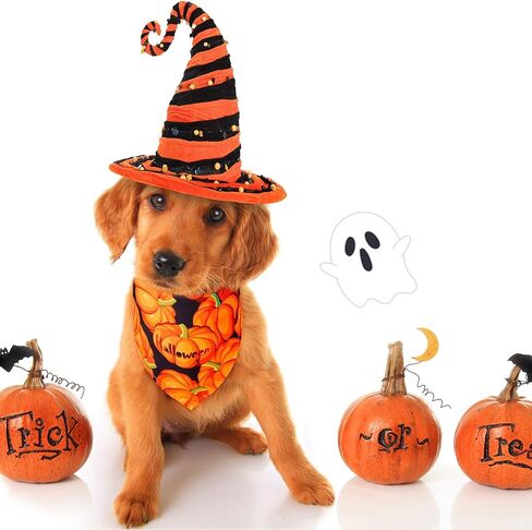 8 Pieces Halloween Dog Bandanas Pumpkin Bat Pet Scarf Dog Triangle Dog Scarf Adjustable Dog Bib Dog Scarf for Halloween Holiday Costume (Spider Style) in Saudi Arabia