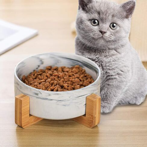 أوعية للقطط للطعام والماء، أوعية للقطط من السيراميك مع حامل خشبي، أوعية لإطعام القطط للقطط الداخلية، أوعية طعام للحيوانات الأليفة للكلاب والقطط الصغيرة والمتوسطة الحجم، وأطباق طعام ومياه للقطط، تصميم عصري in Kuwait