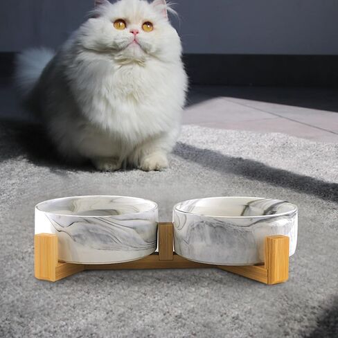 أوعية للقطط للطعام والماء، أوعية للقطط من السيراميك مع حامل خشبي، أوعية لإطعام القطط للقطط الداخلية، أوعية طعام للحيوانات الأليفة للكلاب والقطط الصغيرة والمتوسطة الحجم، وأطباق طعام ومياه للقطط، تصميم عصري in Kuwait