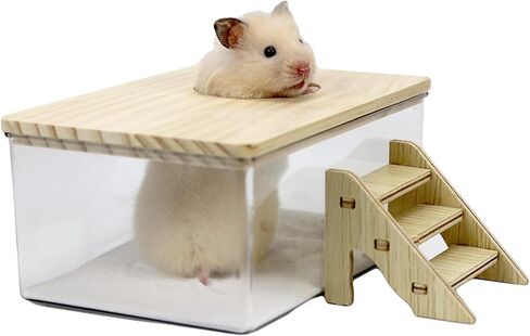 اماكونفت مجموعة حمام رمل الهامستر مع غطاء وسلم تسلق، صندوق رمل شفاف للحفر للحيوانات الصغيرة in Kuwait