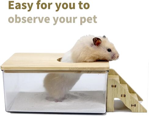اماكونفت مجموعة حمام رمل الهامستر مع غطاء وسلم تسلق، صندوق رمل شفاف للحفر للحيوانات الصغيرة in Kuwait