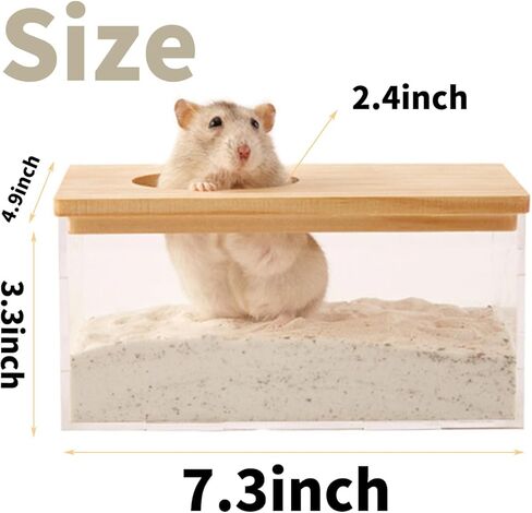 اماكونفت مجموعة حمام رمل الهامستر مع غطاء وسلم تسلق، صندوق رمل شفاف للحفر للحيوانات الصغيرة in Kuwait