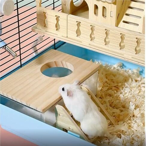اماكونفت مجموعة حمام رمل الهامستر مع غطاء وسلم تسلق، صندوق رمل شفاف للحفر للحيوانات الصغيرة in Kuwait