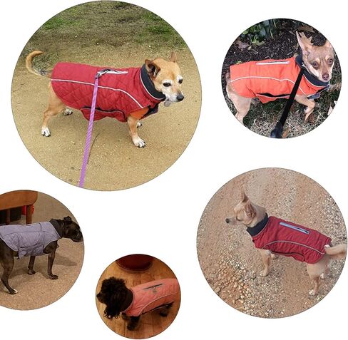 Cold Winter Dog Pet Coat Jacket Vest Warm Outfit Clothes for Small Medium Large Dogs XS Orange CW-181117-C338-Orange-XS in Kuwait