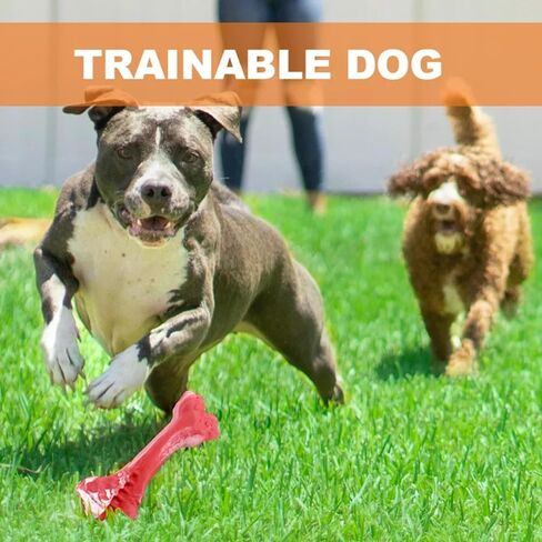 Dog Toys for Aggressive chewers. The Most Realistic Bone for Our Canine Friends Dog. Chew Toys for Small, Medium, and Large Breeds!…(Medium) in Saudi Arabia