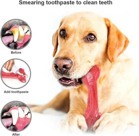 Dog Toys for Aggressive chewers. The Most Realistic Bone for Our Canine Friends Dog. Chew Toys for Small, Medium, and Large Breeds!…(Medium) in Saudi Arabia