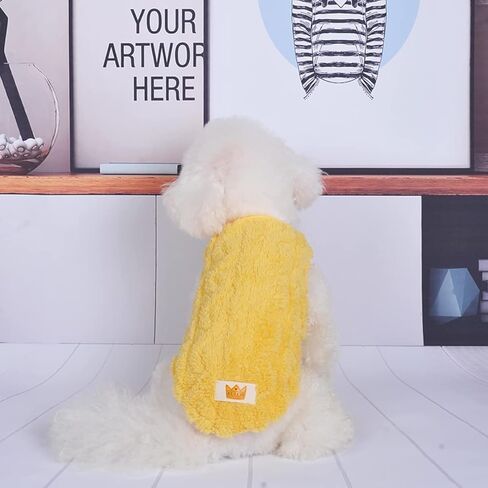 سترة شتوية للكلاب من Loyanyy ملابس قطيفة دافئة للقطط ملابس ناعمة للقطط الصغيرة للطقس البارد ملابس كلب قابلة للتمدد لطيفة أصفر متوسط in Kuwait