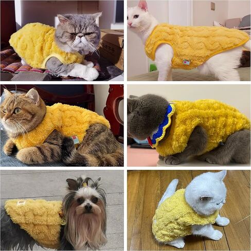 سترة شتوية للكلاب من Loyanyy ملابس قطيفة دافئة للقطط ملابس ناعمة للقطط الصغيرة للطقس البارد ملابس كلب قابلة للتمدد لطيفة أصفر متوسط in Kuwait