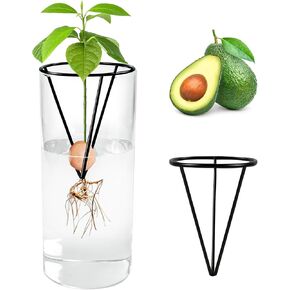 مزهرية زجاجية لبذور الافوكادو مع دعامة معدنية مثلثة، مجموعات زراعة لزراعة بذور الافوكادو، هدية بستنة شجرة الافوكادو لمحبي البستنة (البذور غير متضمنة) in Kuwait