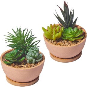 مجموعة من 2 نباتات عصارية صناعية في الاواني لغرفة النوم وغرفة المعيشة والمكتب والرف والحمام من ريفسبور in Kuwait