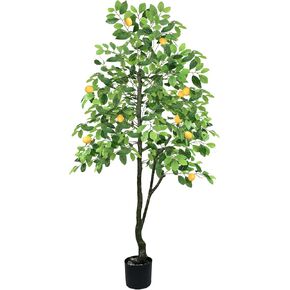 Airbin Artificial Lemon Tree Decor - 5FT Faux Lemon Tree with 11 Fake Lemons, Pre Potted Fake Lemon Tree for Living Room Bedroom Balcony Corner Office Decoration in Kuwait