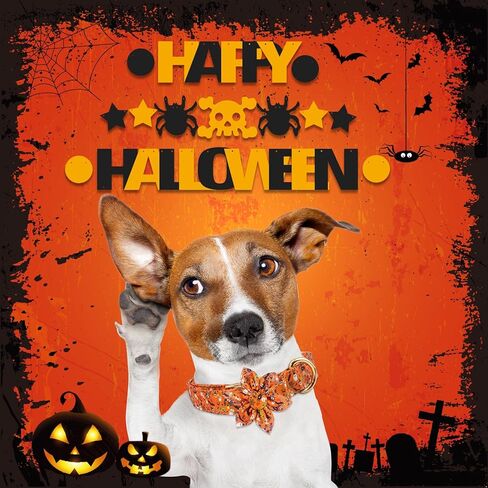 طوق كلب عيد الحب، طوق كلب لطيف على شكل قلب وردي، أطواق مريحة للجراء قابلة للتعديل مع مشبك معدني آمن للحيوانات الأليفة الصغيرة والمتوسطة والكبيرة in Kuwait