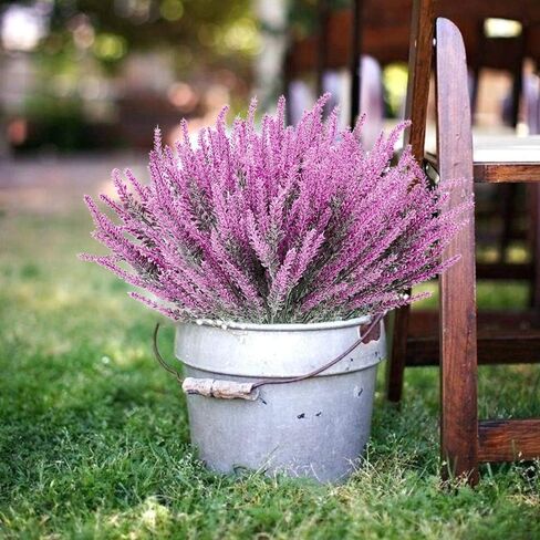 TENCHY 12 Bundles Artificial Lavender Flowers No Fade UV Resistant Fake Plastic Flowers Bouquet for Wedding Home Office Decoration- Indoor/Outdoor Use (Fuchsia) in Kuwait