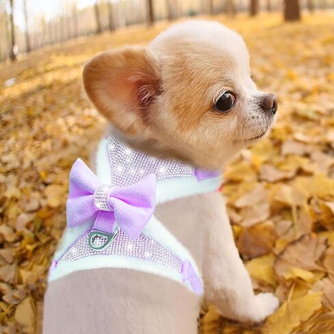 Do-Dottii حجر الراين الكلب تسخير لا سحب قابل للتعديل جرو بلينغ تسخير لينة مزدوجة مبطن تنفس سترة سباركلي القوس للكلاب الصغيرة المتوسطة سهولة التحكم في المشي الإفراج السريع (صغير، أحمر) in Kuwait