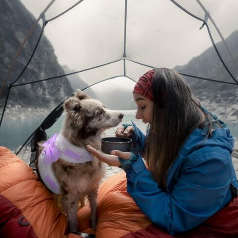 Do-Dottii حجر الراين الكلب تسخير لا سحب قابل للتعديل جرو بلينغ تسخير لينة مزدوجة مبطن تنفس سترة سباركلي القوس للكلاب الصغيرة المتوسطة سهولة التحكم في المشي الإفراج السريع (صغير، أحمر) in Kuwait