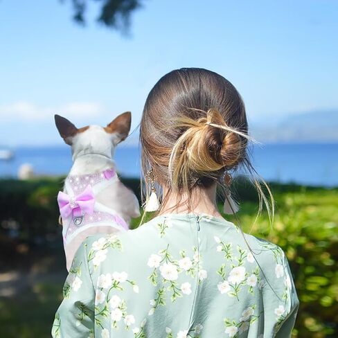 Do-Dottii حجر الراين الكلب تسخير لا سحب قابل للتعديل جرو بلينغ تسخير لينة مزدوجة مبطن تنفس سترة سباركلي القوس للكلاب الصغيرة المتوسطة سهولة التحكم في المشي الإفراج السريع (صغير، أحمر) in Kuwait