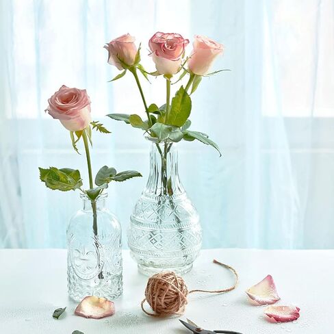 مجموعة مزهرية زجاجية 20 قطعة مزهريات برعم صغيرة مزهريات زجاجية شفافة لزهرة مزهريات برعم شفافة بكميات كبيرة مزهريات صغيرة مزهريات شفافة لديكور الطاولة مزهرية زجاجية عتيقة لحفل زفاف ريفي مكتب ديكور طاولة المنزل in Kuwait
