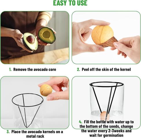 مزهرية زجاجية لبذور الافوكادو مع دعامة معدنية مثلثة، مجموعات زراعة لزراعة بذور الافوكادو، هدية بستنة شجرة الافوكادو لمحبي البستنة (البذور غير متضمنة) in Kuwait