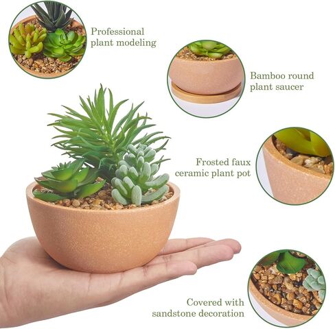 مجموعة من 2 نباتات عصارية صناعية في الاواني لغرفة النوم وغرفة المعيشة والمكتب والرف والحمام من ريفسبور in Kuwait