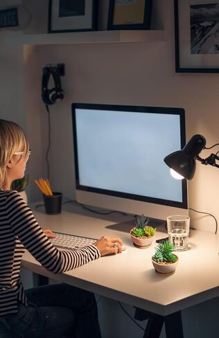 مجموعة من 2 نباتات عصارية صناعية في الاواني لغرفة النوم وغرفة المعيشة والمكتب والرف والحمام من ريفسبور in Kuwait