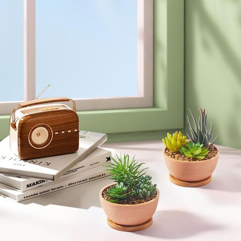 مجموعة من 2 نباتات عصارية صناعية في الاواني لغرفة النوم وغرفة المعيشة والمكتب والرف والحمام من ريفسبور in Kuwait