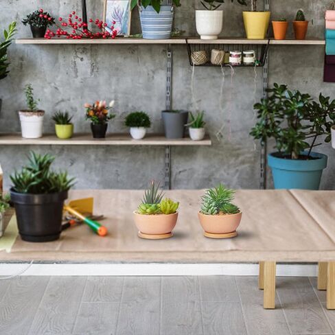 مجموعة من 2 نباتات عصارية صناعية في الاواني لغرفة النوم وغرفة المعيشة والمكتب والرف والحمام من ريفسبور in Kuwait