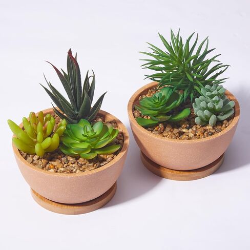 مجموعة من 2 نباتات عصارية صناعية في الاواني لغرفة النوم وغرفة المعيشة والمكتب والرف والحمام من ريفسبور in Kuwait