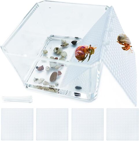 خزان مياه لسلطعون الناسك مع منحدر للتسلق، العاب تسلق السلطعون الناسك، مجموعة مستلزمات حوض السمك في المياه المالحة، ملحقات قفص لسلطعون الناسك الصغير والمتوسط in Kuwait