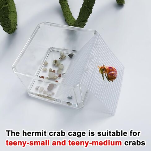 خزان مياه لسلطعون الناسك مع منحدر للتسلق، العاب تسلق السلطعون الناسك، مجموعة مستلزمات حوض السمك في المياه المالحة، ملحقات قفص لسلطعون الناسك الصغير والمتوسط in Kuwait