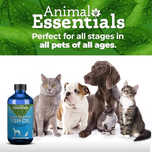 زيت السمك أوشن سوبريم من Animal Essentials للكلاب والقطط، 16 أونصة - زيت السمك أوميغا 3 للبشرة والفرو الصحيين in Kuwait