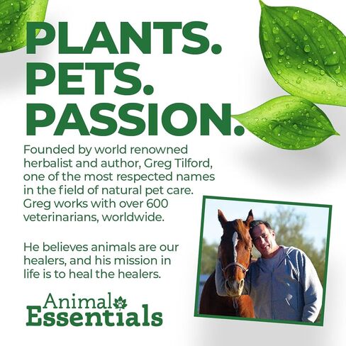 زيت السمك أوشن سوبريم من Animal Essentials للكلاب والقطط، 16 أونصة - زيت السمك أوميغا 3 للبشرة والفرو الصحيين in Kuwait