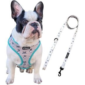 French Bull Dog Vest Harness with Matching Leash, Breathable Mesh Interior Liner, 4 Adjusting Buckles to Get The Perfect Frenchie Fit (Small) in Saudi Arabia