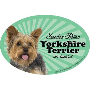 Yorkie Car Magnets: Yorkie Limo on Board - Oval 6" x 4" Auto/ Truck/ Refrigerator/ Mailbox (Funny Car Decals, Dog Magnet, Yorkshire Terrier)