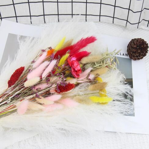 باقة زهور مجففة من CITYES، زهور طبيعية مجففة، ديكور عشبي، ذيل أرنب، الخشخاش، زهور اصطناعية، كرات القمح، كرات بيلي، زهور مجففة للمنزل، حفل زفاف، زهور، قطع مركزية للطاولة in Kuwait