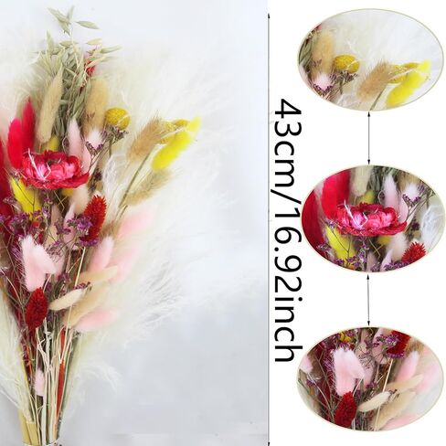 باقة زهور مجففة من CITYES، زهور طبيعية مجففة، ديكور عشبي، ذيل أرنب، الخشخاش، زهور اصطناعية، كرات القمح، كرات بيلي، زهور مجففة للمنزل، حفل زفاف، زهور، قطع مركزية للطاولة in Kuwait