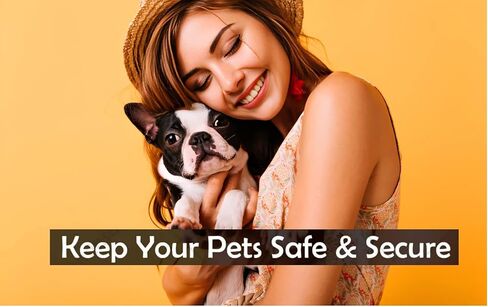 رقائق دقيقة للكلاب والحيوانات الاليفة من ايكيزويلور، رقائق صغيرة عالمية بتقنية تحديد الهوية بموجات الراديو 1.4×8 ملم قابلة للزرع للقطط والخيول والجراء - رقائق متوافقة مع ايزو مع مجموعة زرع بالجملة in Kuwait