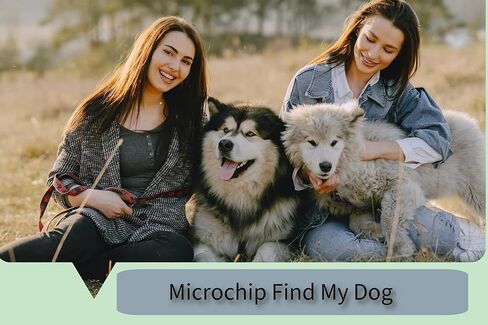 رقائق دقيقة للكلاب والحيوانات الاليفة من ايكيزويلور، رقائق صغيرة عالمية بتقنية تحديد الهوية بموجات الراديو 1.4×8 ملم قابلة للزرع للقطط والخيول والجراء - رقائق متوافقة مع ايزو مع مجموعة زرع بالجملة in Kuwait