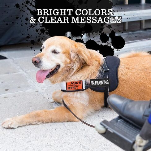 12 قطعة من رقع خدمة الكلاب التكتيكية القابلة للازالة، رقع سرج الكلاب، رقع مطرزة بحلقة خطافية لتدريب الكلاب، علم الولايات المتحدة مع رقع مخالب لخدمة تدريب الكلاب والعمل in Kuwait