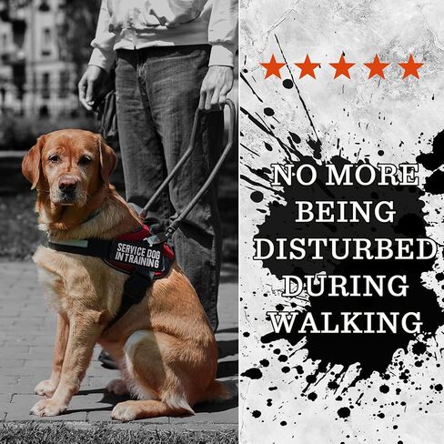 12 قطعة من رقع خدمة الكلاب التكتيكية القابلة للازالة، رقع سرج الكلاب، رقع مطرزة بحلقة خطافية لتدريب الكلاب، علم الولايات المتحدة مع رقع مخالب لخدمة تدريب الكلاب والعمل in Kuwait