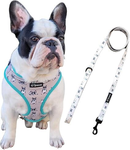 French Bull Dog Vest Harness with Matching Leash, Breathable Mesh Interior Liner, 4 Adjusting Buckles to Get The Perfect Frenchie Fit (Small) in Saudi Arabia