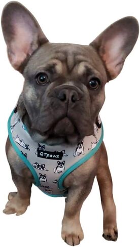 French Bull Dog Vest Harness with Matching Leash, Breathable Mesh Interior Liner, 4 Adjusting Buckles to Get The Perfect Frenchie Fit (Small) in Saudi Arabia