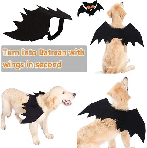 Dog Halloween Costumes, Cat Dog Bat Costume Wings Pet Bat Wings for Small Medium and Large Dog, Cat Dog Costume Funny Cat Apparel, Cosplay Clothes, Cool Dog Outfits (S) in Saudi Arabia