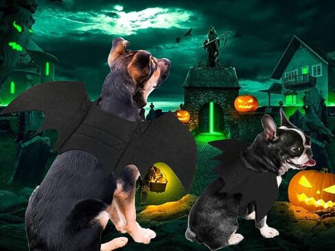 Dog Halloween Costumes, Cat Dog Bat Costume Wings Pet Bat Wings for Small Medium and Large Dog, Cat Dog Costume Funny Cat Apparel, Cosplay Clothes, Cool Dog Outfits (S) in Saudi Arabia