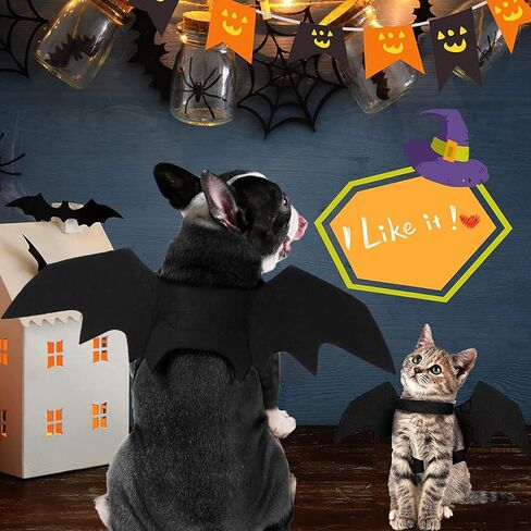 Dog Halloween Costumes, Cat Dog Bat Costume Wings Pet Bat Wings for Small Medium and Large Dog, Cat Dog Costume Funny Cat Apparel, Cosplay Clothes, Cool Dog Outfits (S) in Saudi Arabia