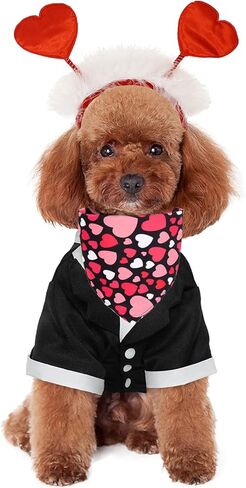 زي تنكري للكلاب لعيد الحب من اوسيجوبيك، شريط راس على شكل قلب للحيوانات الاليفة للكلاب والقطط، لوازم عيد الحب in Kuwait