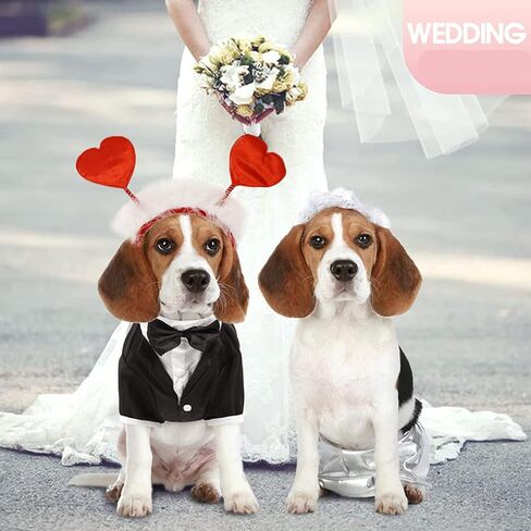 زي تنكري للكلاب لعيد الحب من اوسيجوبيك، شريط راس على شكل قلب للحيوانات الاليفة للكلاب والقطط، لوازم عيد الحب in Kuwait